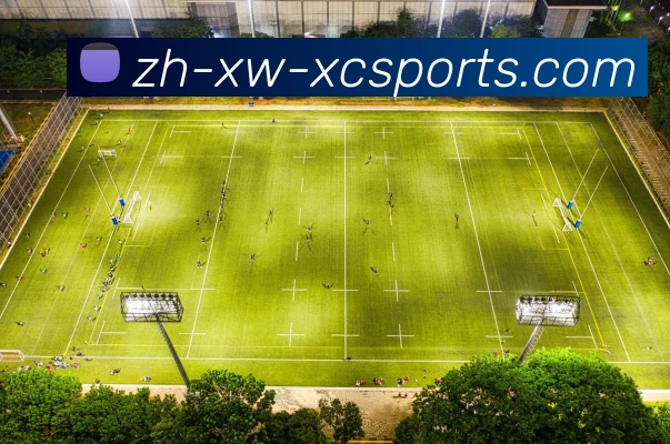 杏彩体育平台生态图