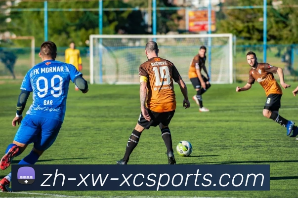 杏彩体育全站App